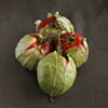 Tomatos / Tomatillos