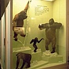 Natural History