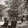 The Public Garden
