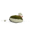 Snail