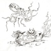 Octopus and Crab 