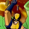 Hulk VS. Wolverine