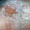 Orange-Pink Shade