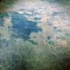 Green-Blue Shade