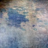 Blue-Brown Shade