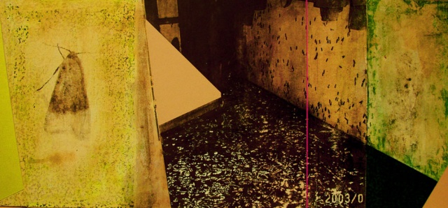 oil, pigment,ink/panel, Wayne Toepp