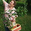Battling Breast Cancer: Shelley Ryan
