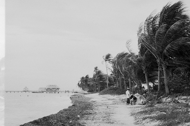 400 tri-x; kodak