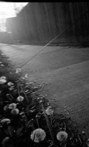 xp2; black and white photography