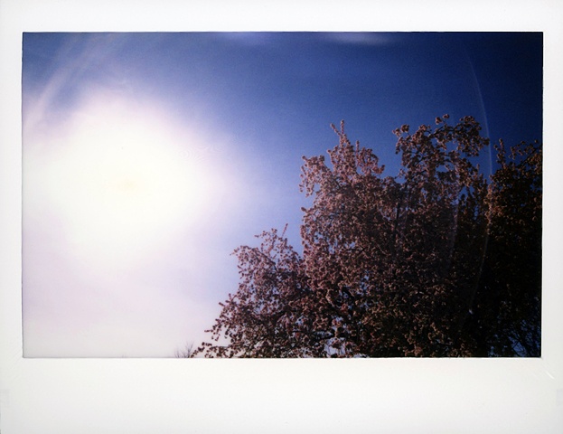 fuji instax