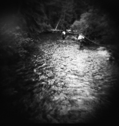 tri-x