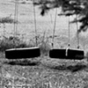 Tire Swing