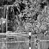 Tightrope