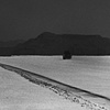Tracks in the Salt