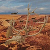 Desert Lovesong