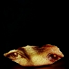 Face #3