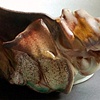 Emotive Vessel