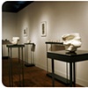 Gallery view