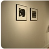 Gallery view