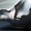 Vessel Transformation No.5