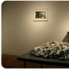 Gallery view