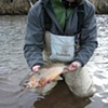 Westslope Cutthroat