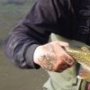 Alaskan Bow