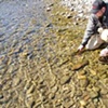 Home waters