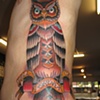 owl