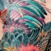rooster.