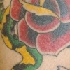 Snake rose and flutterby