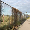 South Central Farm