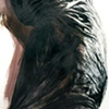Shroud 1