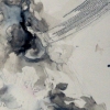 Island of White