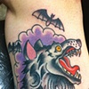 wolf