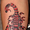 scorpion