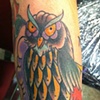 owl