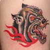 wolf 