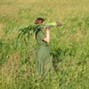 Franklin County Lines, 2008