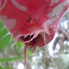 Feeding Sites, 2004 (Phase 1)