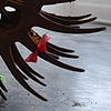 Tiptoe, 2010