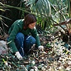 Feeding Sites, 2004 (Phase 2)