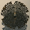 24 Tooth Doily, 2009