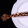 Object Lessons: Ogle County (detail of plates w/objects)