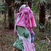 Feeding Sites, 2004 (Phase 1)
