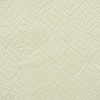 Paper Towel (detail)