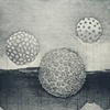 Fragmented Silence