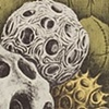Curiosities