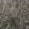 Stripped (detail)