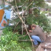 Cameron installing one of his birdhouses